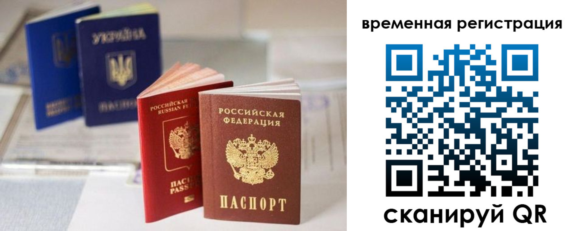 прописка поиск в Сланцах